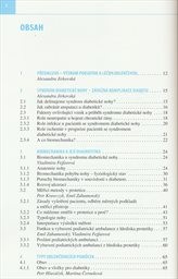 L&eacute;čba syndromu diabetick&eacute; nohy odlehčen&iacute;m