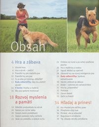 Cvičenie a hry so psom