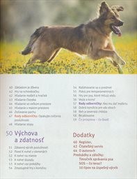 Cvičenie a hry so psom