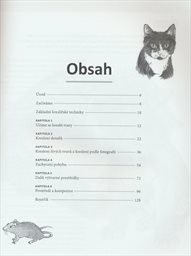 Jak kreslit dom&aacute;c&iacute; mazl&iacute;čky