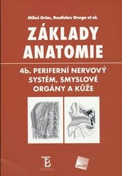 Základy anatomie
                        (4b.,)
                    