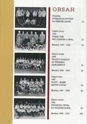 Devatero hokejových zastavení