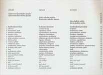 Česko-lotyšsko-litevsk&aacute; konverzace