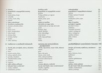 Česko-lotyšsko-litevsk&aacute; konverzace