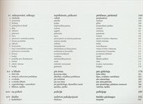 Česko-lotyšsko-litevsk&aacute; konverzace