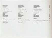 Česko-lotyšsko-litevsk&aacute; konverzace