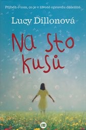 Na sto kusů