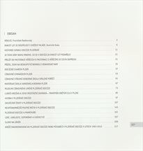 20 let plzeňské diecéze