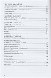 Bylin&aacute;řsk&eacute; tradice moudr&yacute;ch žen a mužů, aneb, Hlubš&iacute; pohled do světa bylin