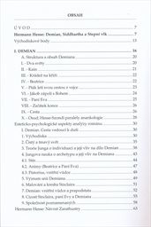 Hesse - Jung, estetick&eacute; a psychologick&eacute; aspekty liter&aacute;rn&iacute;ho d&iacute;la