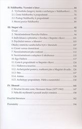 Hesse - Jung, estetick&eacute; a psychologick&eacute; aspekty liter&aacute;rn&iacute;ho d&iacute;la