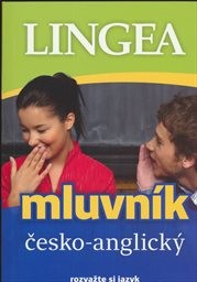 Mluvn&iacute;k česko-anglick&yacute;