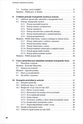 Strategie &uacute;spěšn&eacute;ho podniku