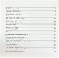 Kritick&eacute; reflexe liter&aacute;rn&iacute;ho textu