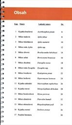 Mšice
                        (1.)
                    