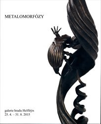 Metalomorf&oacute;zy