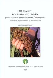 Bér vlašský Setaria Italica (L.) Beauv.