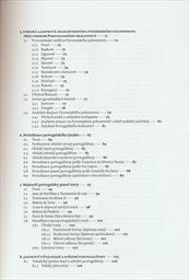 V&yacute;voj portugalsk&eacute;ho jazyka