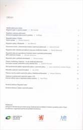 Hledání plánu pro město - regulační plán či územní studie?