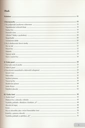 Montessori konkr&eacute;tně
                        (Třet&iacute; d&iacute;l,)
                    