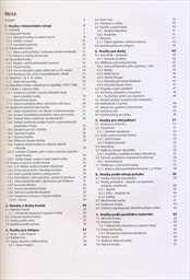 Nekonečný svět české hračky