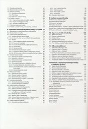 Nekonečný svět české hračky