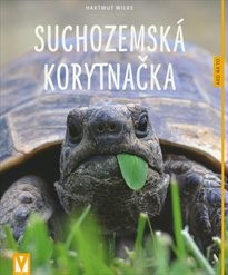 Suchozemsk&aacute; korytnačka