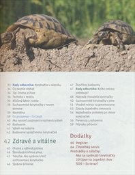 Suchozemsk&aacute; korytnačka