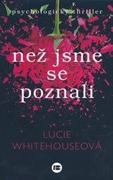 Než jsme se poznali