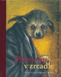 Plameny v zrcadle