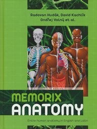 Memorix anatomy