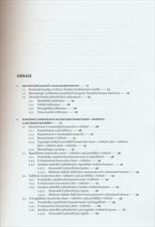 Rom&aacute;nsk&eacute; jazyky a čeština ve světle paraleln&iacute;ch korpusů