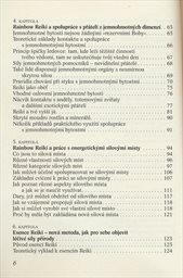 Komplexní systém reiki