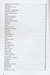 Sk&aacute;čeme, běh&aacute;me a hrajeme si na hřišti i pod střechou