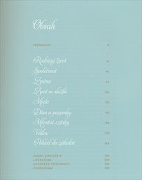 Panstv&iacute; Downton