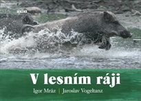 V lesním ráji