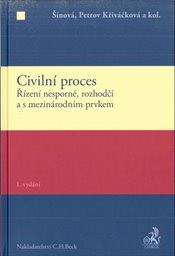 Civilní proces