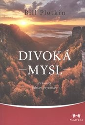 Divoká mysl