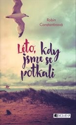 Léto, kdy jsme se potkali