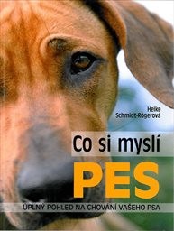 Co si myslí pes