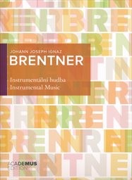 Instrumentální hudba