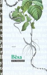 Běsa