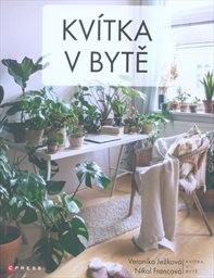 Kvítka v bytě