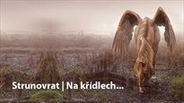 Na křídlech...