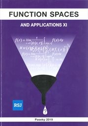 Function Spaces and Applications XI