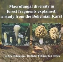 Macrofungal diversity in forest fragments explained: a study from the Bohemian Karst