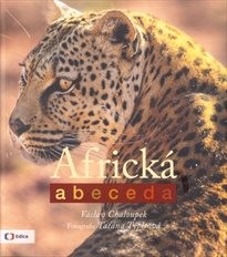 Africká abeceda