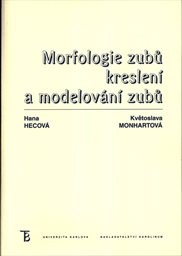Morfologie zubů