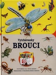 Brouci