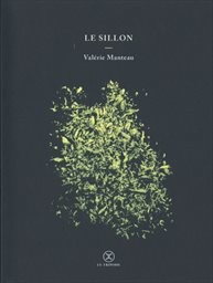 Le sillon